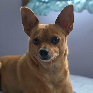 Meet your Posher, Gonzalo